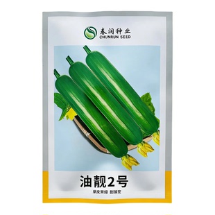 春涧油靓2号丝瓜种子高产四季蔬菜种子油亮细腻耐寒江苏2号肉丝瓜