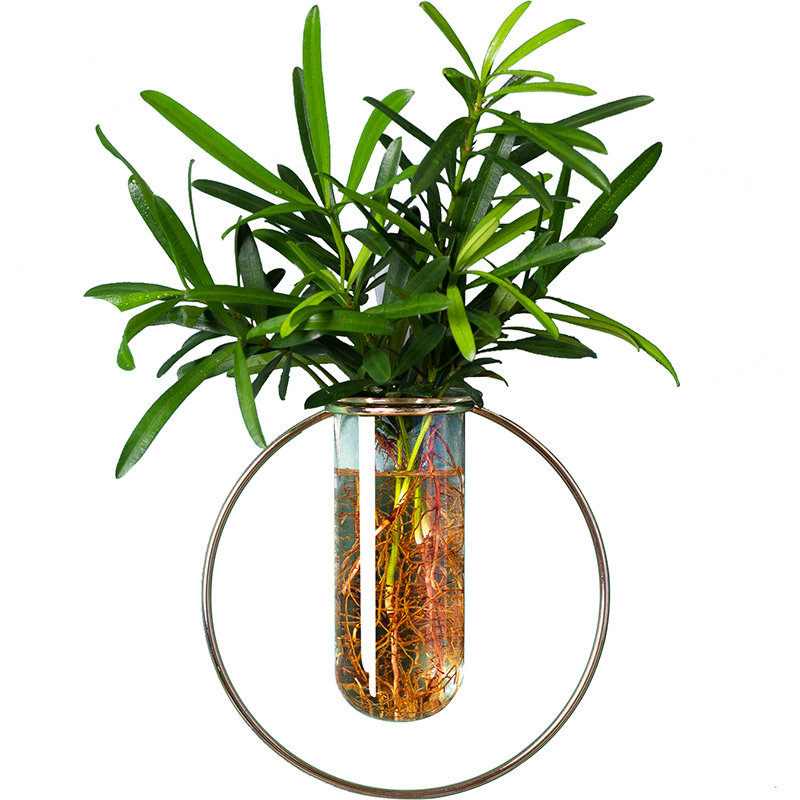 创意墙上壁挂花盆绿萝壁挂水培玻璃花瓶绿植餐厅简约墙面装饰挂件
