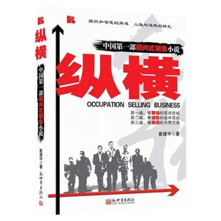 正版现货 纵横：中国一部顾问式销售小说 崔建中 新世界出版社 销