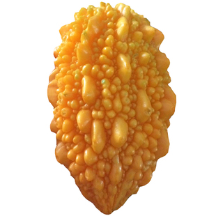 蔬菜种子水果种子四季稀有观赏金铃子赖葡萄小濑瓜种子阳台盆栽春