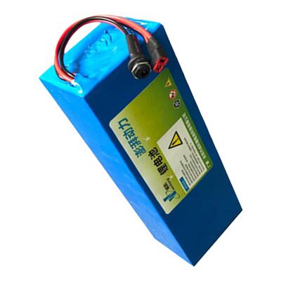 全新36v锂电池48v15ah银鱼海霸