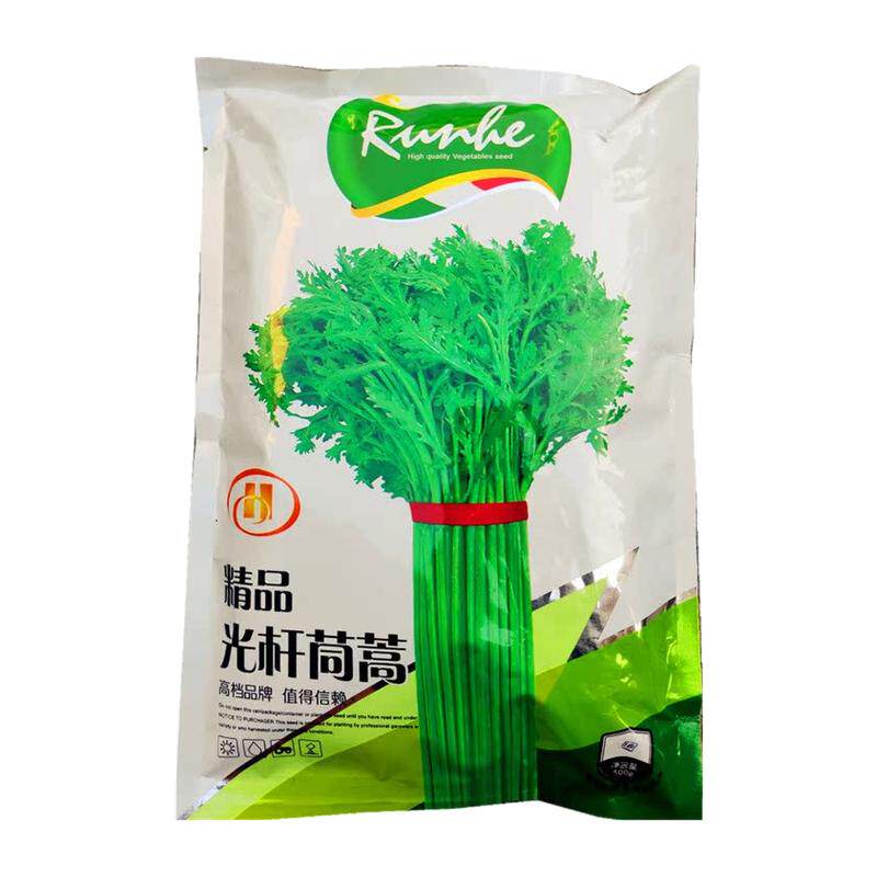 精品茼蒿种籽光杆茼蒿种子500g散茼蒿籽小叶丰产美味蔬菜种子抗病