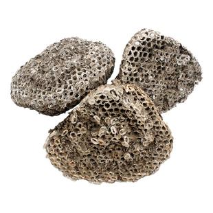 蜂房中药材100g克野生正品露蜂房蜂巢马蜂窝峰房陆蜂房软蜂房