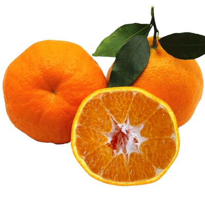 四川春见耙耙柑粑粑柑橘10斤顺丰