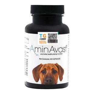 胺肾 美国aminavast肾停衰狗肾脏降磷猫狗肾犬肾透活肾犬用1000mg