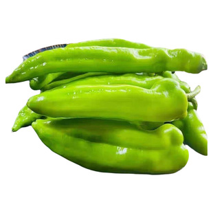 大青椒青椒炒肉羊角尖椒黄皮椒产地直发火锅配菜新鲜自种香辣