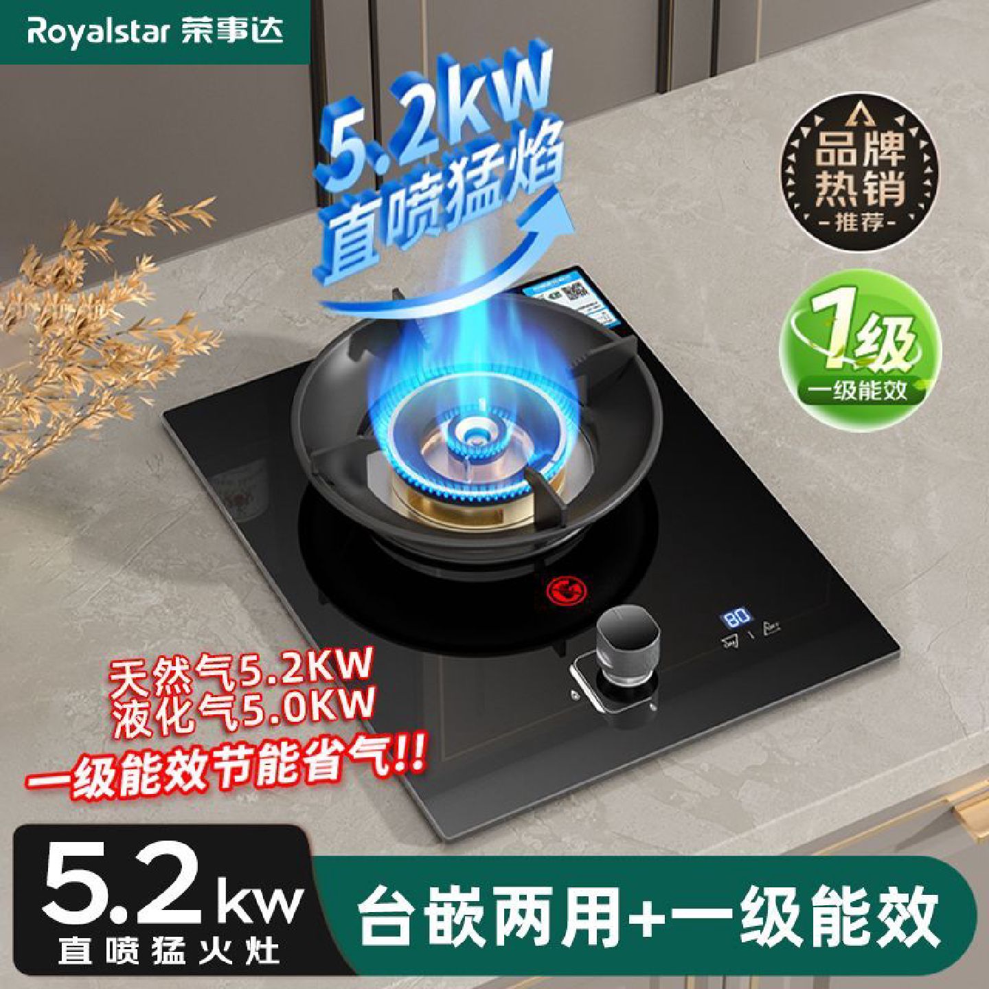 荣事达燃气灶单灶煤气灶液化气家用天然气铜火盖一级能效猛火炉具