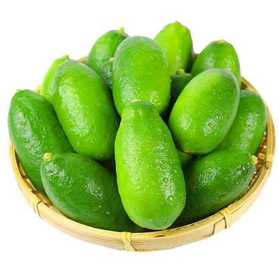 海南无籽香水柠檬青柠檬金骐