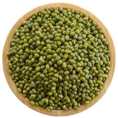 24/25季新货 绿豆 散装特价新鲜绿豆解暑绿豆汤熬粥煲汤
