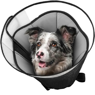 宠物伊丽莎白圈加深狗狗耻辱圈中型大型犬防舔防咬绝育头套加大