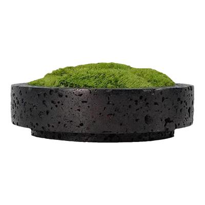 新中式简约永生苔藓绿植客厅现代侘寂风枯山水盆景轻奢桌面摆件