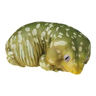 动物星球 心宽体胖02弹 睫角巨人豹纹瘤尾守宫壁虎四脚蛇模型盒蛋