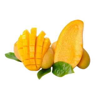 广西芒果树苗金煌芒果苗一个3斤特大芒果树苗庭院阳台盆栽常绿