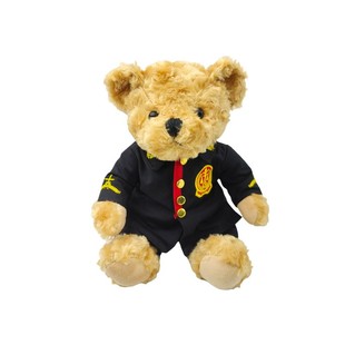 法官小熊毛绒玩具审判长玩偶法院普法宣传活动礼物文创布娃娃公仔