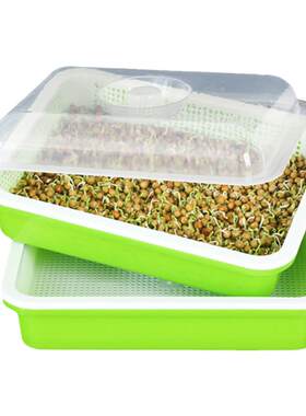 芽苗菜育苗托盘豆芽水培蔬菜种植