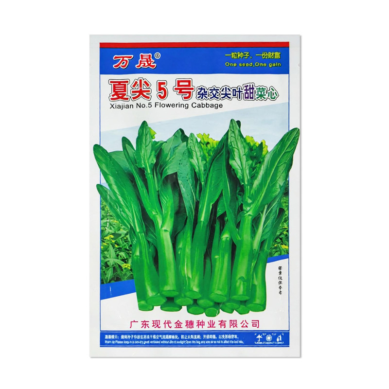 万晟夏尖5号杂交尖叶甜菜心种子