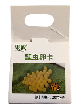 顺丰果攸异色瓢虫卵卡蚜虫天敌