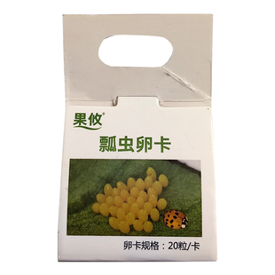 顺丰发货】果攸异色瓢虫卵卡 七星瓢虫天敌生物预防蚜虫粉虱蓟马