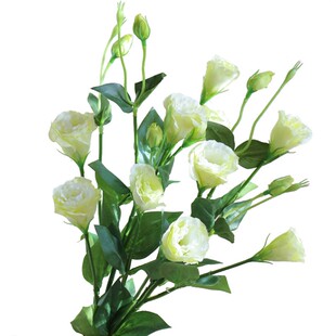 洋桔梗仿真花轻奢白色高支假花艺摆件北欧客厅摆设干花花束高级感