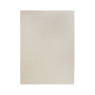 侘寂风家用丙纶地毯轻奢高级感法式纯色客厅沙发茶几毯卧室床边毯