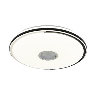 智能蓝牙吸顶灯创意简约音乐LED卧室灯现代浪漫婚房阳台客厅灯饰