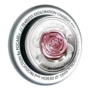 小小王子与玫瑰磁吸支架治愈风狐狸花朵b612星球16promax气囊支架