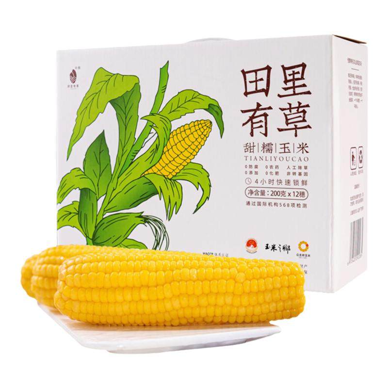 田里有草东北甜糯玉米黄糯玉米新鲜加热即食低脂代餐新鲜糯玉米