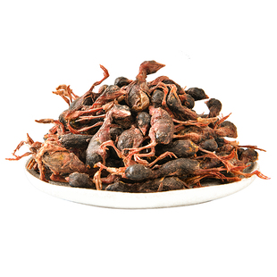 宠物狗狗猫咪磨牙零食鹌鹑冻干营养增肥食品训练奖励零食仓鼠粮食