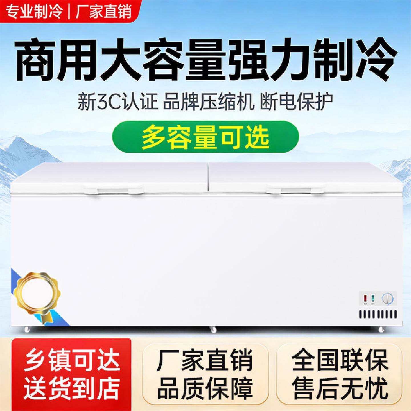 雪花梦系列冰柜全冷冻商用大容量冷冻冷柜冰箱单双温展示工厂直营