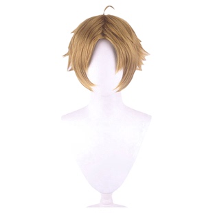 馒头家 cosplay假发无职转生 艾莉丝 伯雷亚斯 鲁迪乌斯 希露菲叶