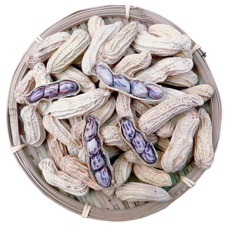 七彩花生水煮晒干咸干花生带壳熟新鲜广东特产送礼佳品休闲零食品