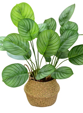 仿真绿植假植物龟背办公桌ins