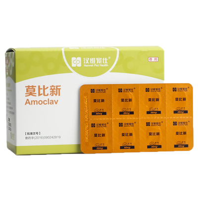 鼻支感冒消炎药片莫比新