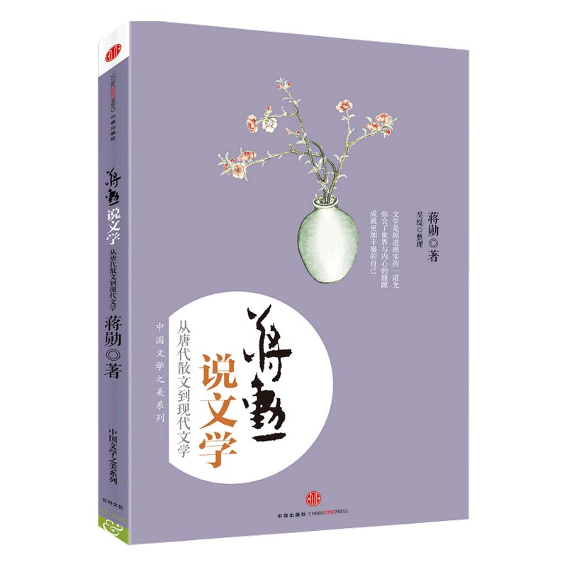 蒋勋说文学：从唐代散文到现代文学 中信出版社图书 畅销书 正版书籍