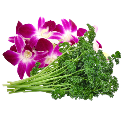 杨兰花荷兰芹西餐火锅摆盘装饰