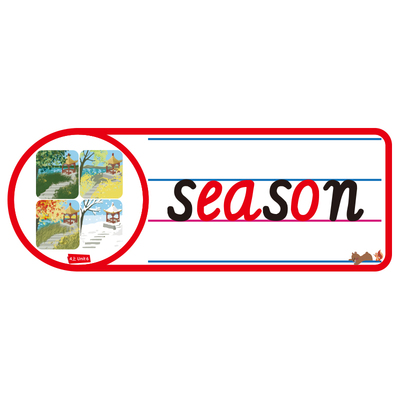 2025秋新版人教四上单词句子卡片