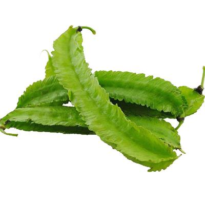 海南四角豆四棱豆皇帝豆整箱包邮