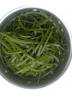 荣成特产盐渍新鲜免切绿丝