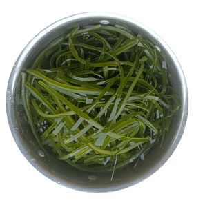 荣成特产盐渍海带丝 12-15厘米免切绿中厚丝可泡发8斤