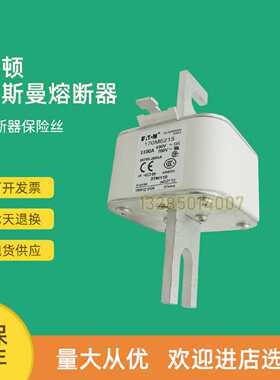 议价全新快速熔断器保险170M6219 170M6220 170M6221 170M6229