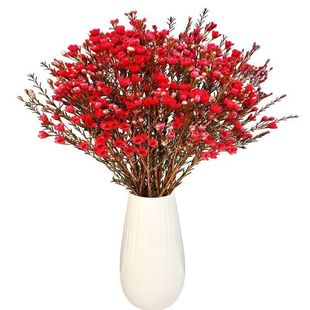 澳洲腊梅鲜花云南昆明直发冬季家用插花水养鲜切花银柳婚庆喜庆花