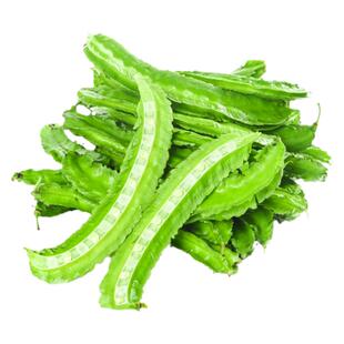 四棱豆种子皇帝豆种籽高产豆角春秋四季阳台盆栽菜豆籽蔬菜种孑