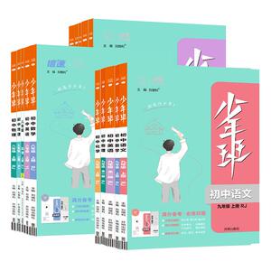 2024少年班七八九年级同步课文