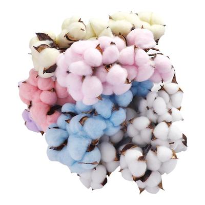 白色木棉花干花花束材料永生棉