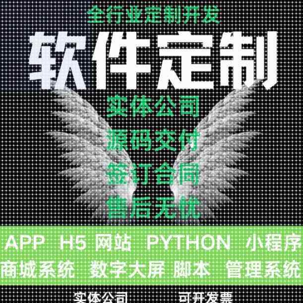 二次调试小程序java代做软件开发python定制PHP代编写代码修改asp