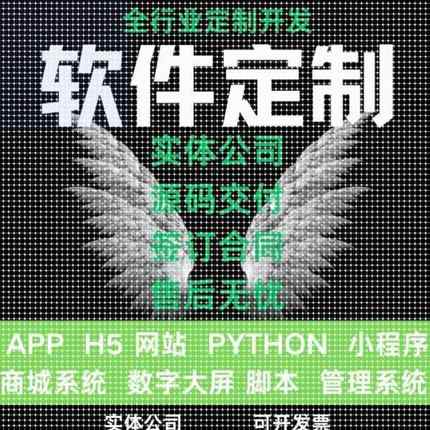 二次调试小程序java代做软件开发python定制PHP代编写代码修改asp
