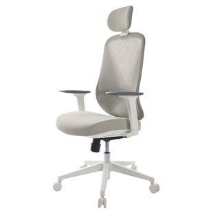 TOAI D6人体工学椅电脑椅家用电竞椅办公椅学习椅宿舍小户型