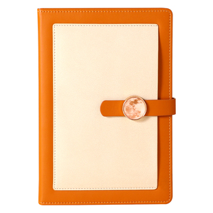 定制高颜值笔记本套装2025年新款同色系文件袋收纳定做公司学校礼物可印logo企业办公会议本子刻字教师节礼品