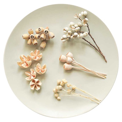 永生干花手工diy装饰配材