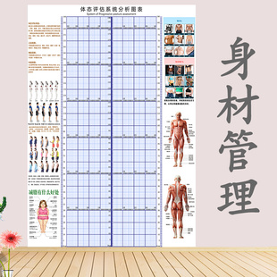 体态评估表格健身房私教瑜伽馆体测图简约综合体型表定制壁画挂式